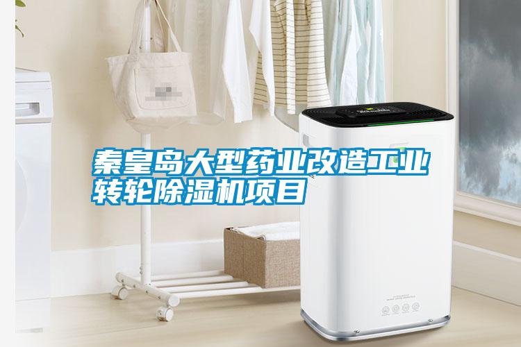 秦皇岛大型药业改造工业转轮麻豆视频黄网站项目