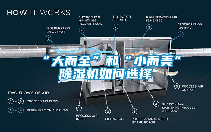 “大而全”和“小而美”麻豆视频黄网站如何选择