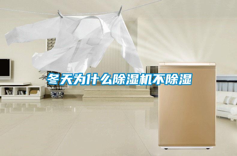 冬天为什么麻豆视频黄网站不除湿