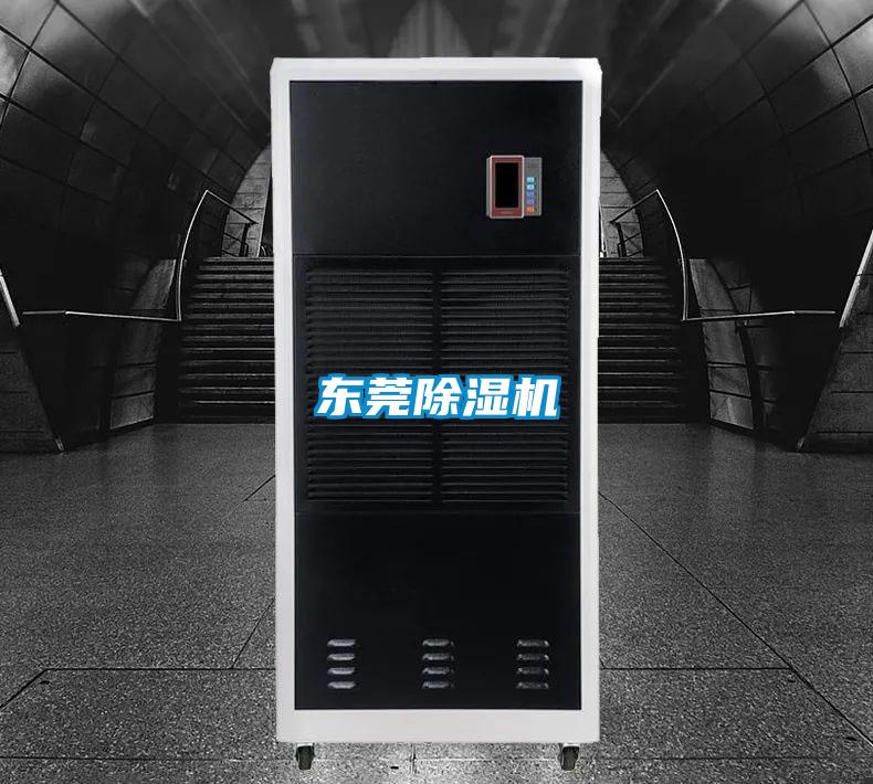 东莞麻豆视频黄网站