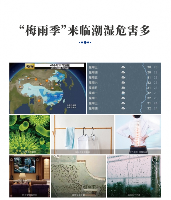 江苏麻豆视频黄网站