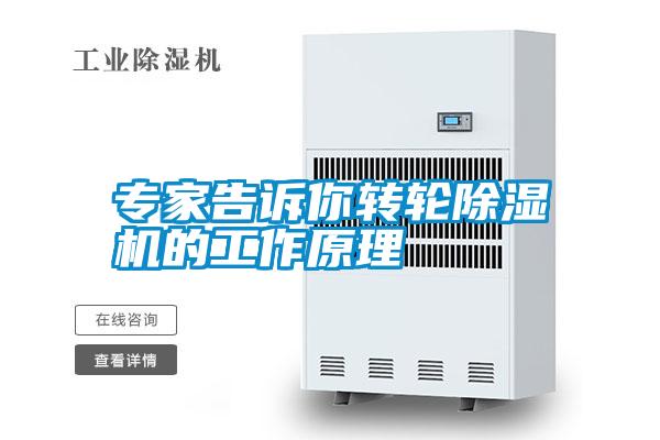 专家告诉你转轮麻豆视频黄网站的工作原理