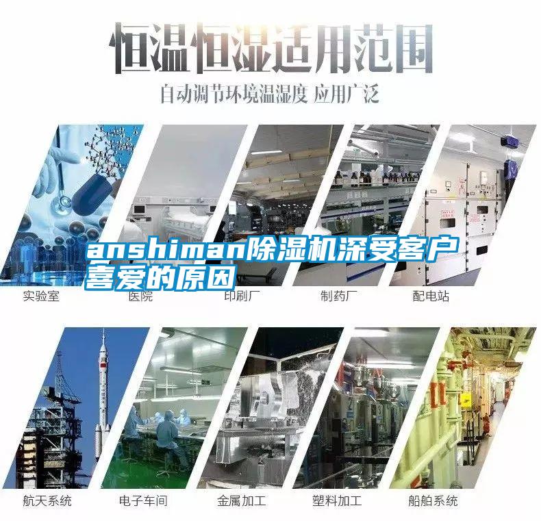 anshiman麻豆视频黄网站深受客户喜爱的原因