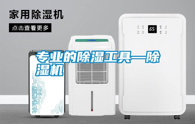 专业的除湿工具—麻豆视频黄网站