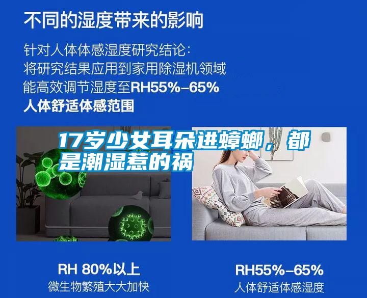 17岁少女耳朵进蟑螂，都是潮湿惹的祸
