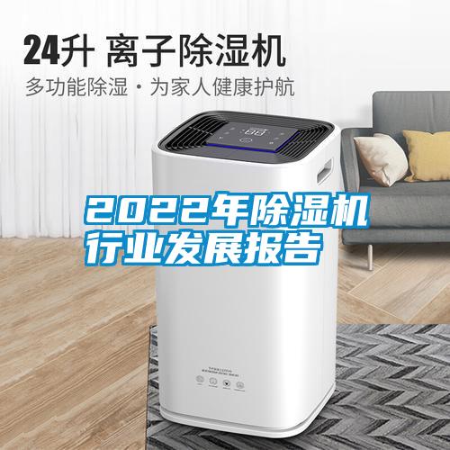 2022年麻豆视频黄网站行业发展报告