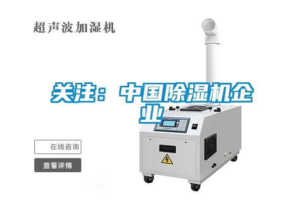 关注：中国麻豆视频黄网站企业