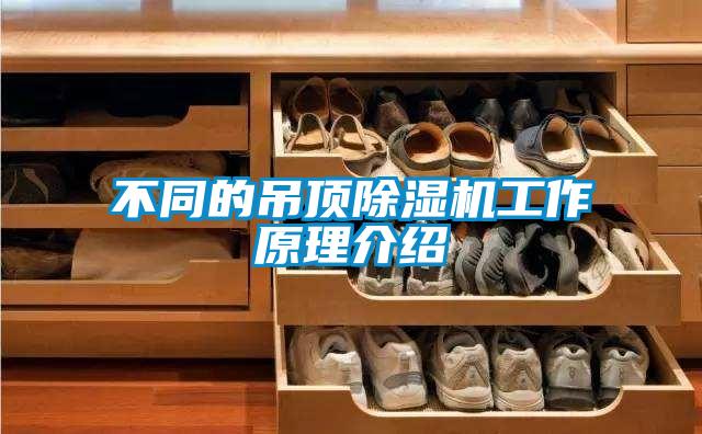 不同的吊顶麻豆视频黄网站工作原理介绍