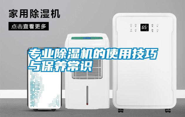 专业麻豆视频黄网站的使用技巧与保养常识