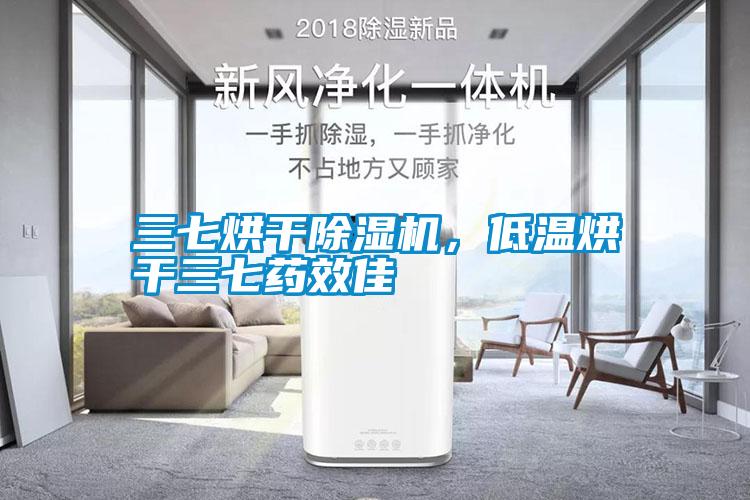 三七烘干麻豆视频黄网站，低温烘干三七药效佳
