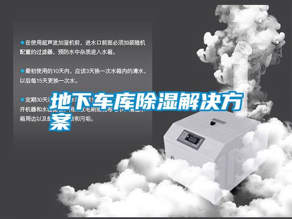 地下车库除湿国产麻豆剧果冻传媒星空视频