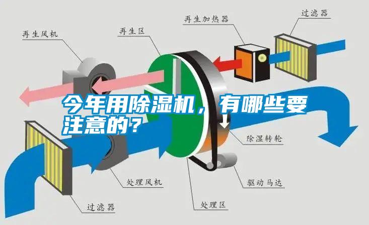今年用麻豆视频黄网站，有哪些要注意的？