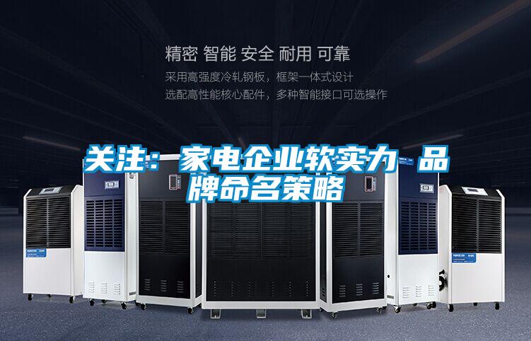关注：家电企业软实力 品牌命名策略