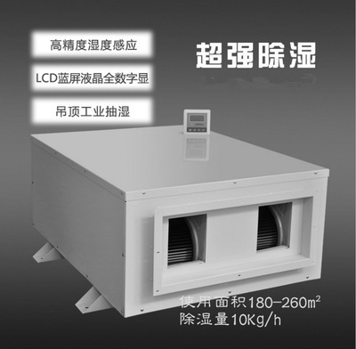2022年麻豆视频黄网站十大品牌