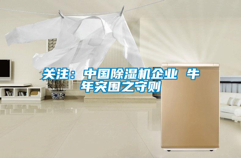 关注：中国麻豆视频黄网站企业 牛年突围之守则