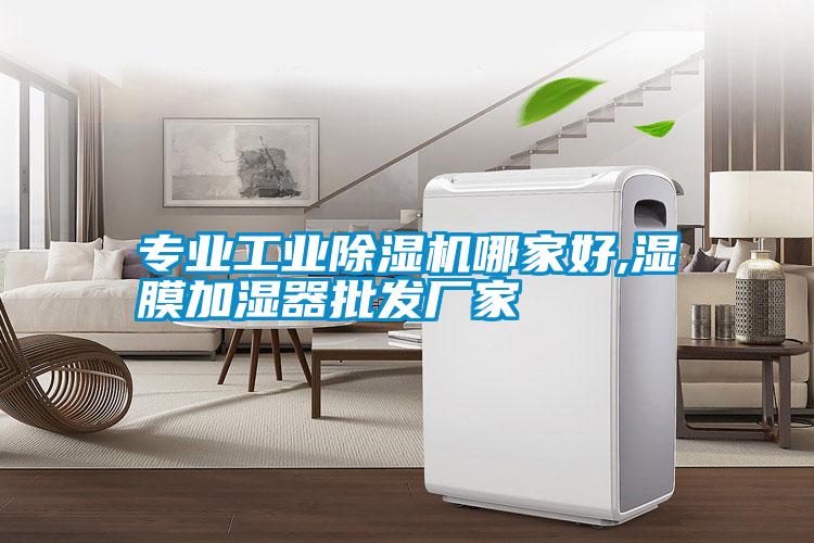 专业工业麻豆视频黄网站哪家好,湿膜加湿器批发厂家