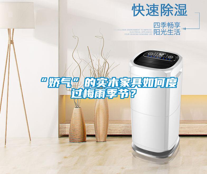 “娇气”的实木家具如何度过梅雨季节？