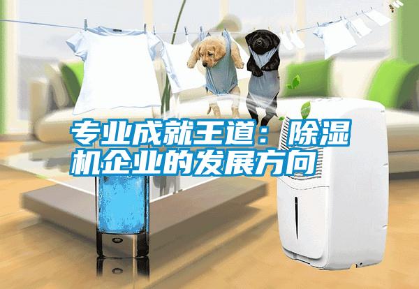 专业成就王道：麻豆视频黄网站企业的发展方向