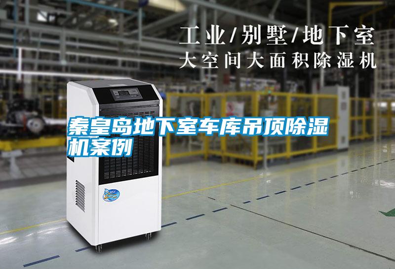 秦皇岛地下室车库吊顶麻豆视频黄网站案例