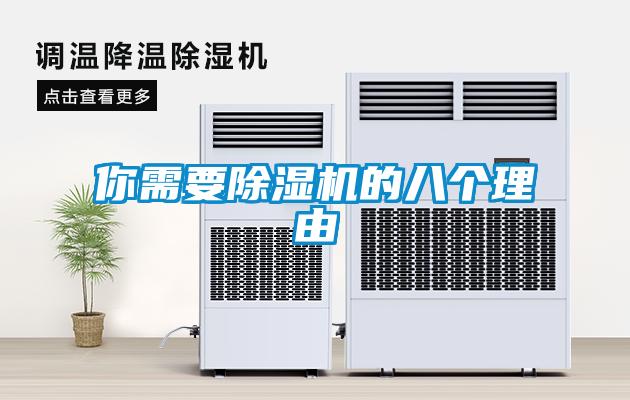 你需要麻豆视频黄网站的八个理由