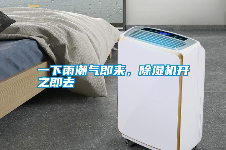 一下雨潮气即来，麻豆视频黄网站开之即去