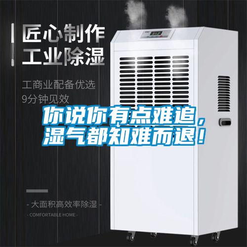 你说你有点难追，湿气都知难而退！