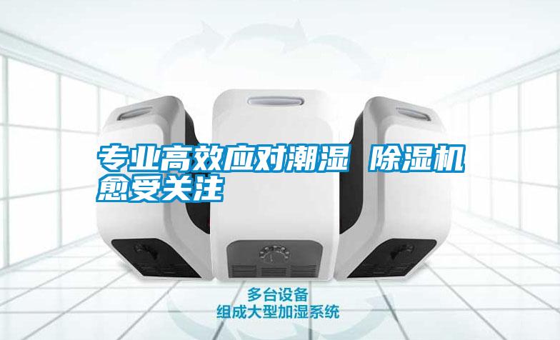 专业高效应对潮湿 麻豆视频黄网站愈受关注