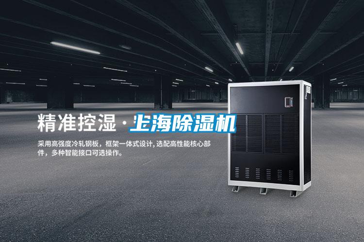 上海麻豆视频黄网站
