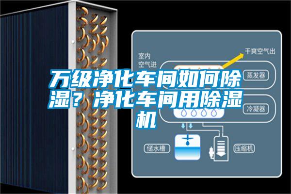 万级净化车间如何除湿？净化车间用麻豆视频黄网站