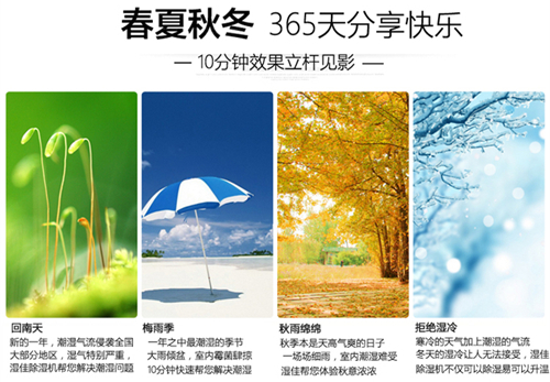 智能麻豆视频黄网站