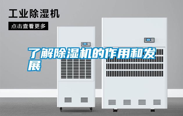 了解麻豆视频黄网站的作用和发展