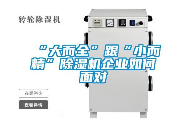 “大而全”跟“小而精”麻豆视频黄网站企业如何面对