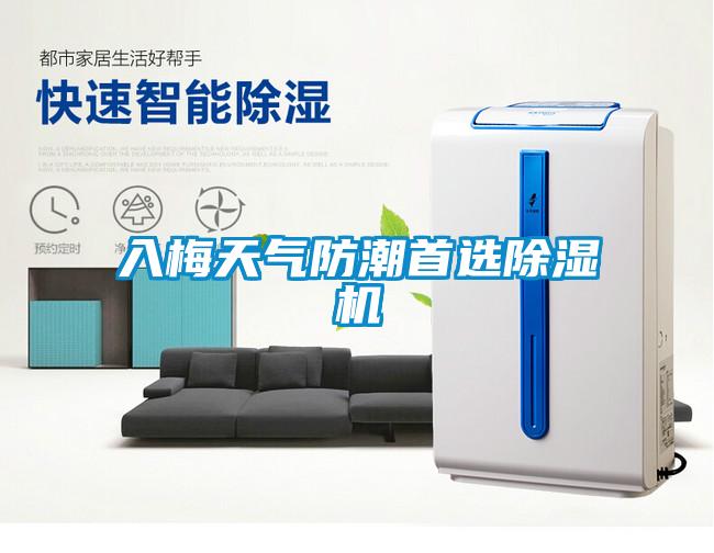 入梅天气防潮首选麻豆视频黄网站