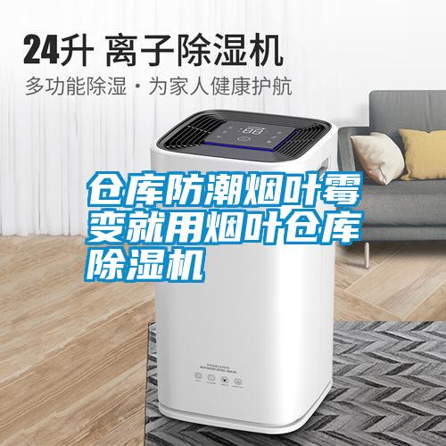 仓库防潮烟叶霉变就用烟叶仓库麻豆视频黄网站