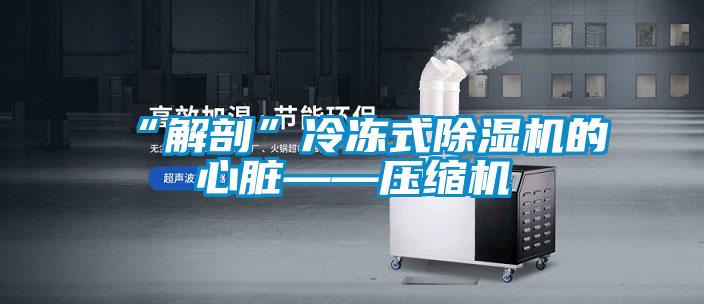 “解剖”冷冻式麻豆视频黄网站的心脏——压缩机