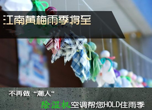 防潮麻豆视频黄网站