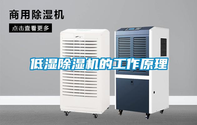 低湿麻豆视频黄网站的工作原理