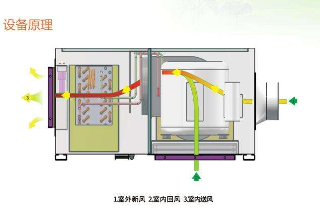 新风麻豆视频黄网站