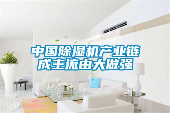 中国麻豆视频黄网站产业链成主流由大做强