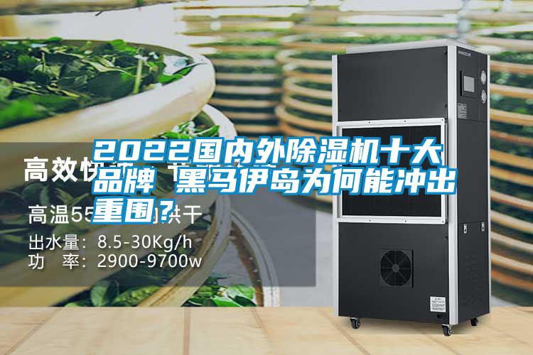 2022国内外麻豆视频黄网站十大品牌 黑马伊岛为何能冲出重围？