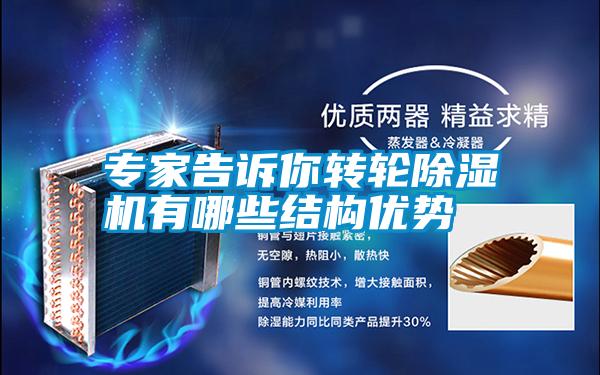 专家告诉你转轮麻豆视频黄网站有哪些结构优势