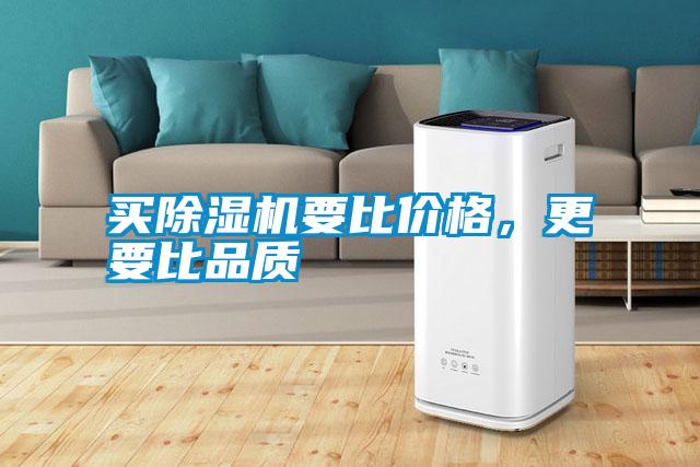 买麻豆视频黄网站要比价格，更要比品质