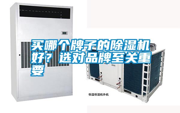 买哪个牌子的麻豆视频黄网站好？选对品牌至关重要