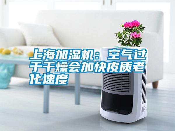上海加湿机：空气过于干燥会加快皮质老化速度