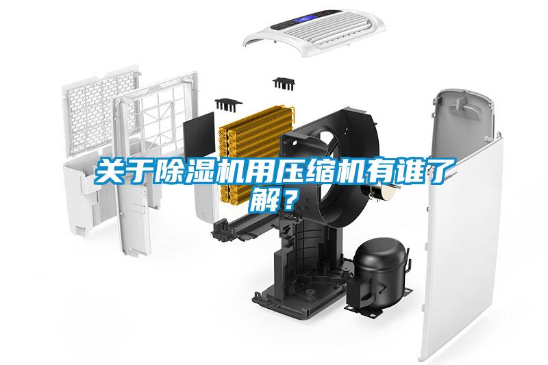 关于麻豆视频黄网站用压缩机有谁了解？