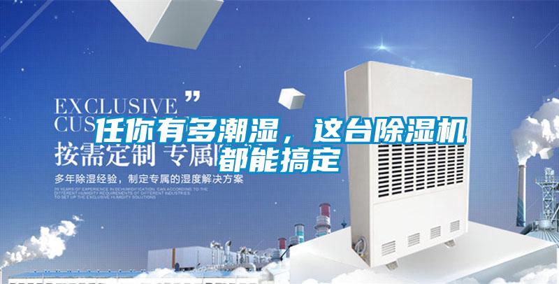 任你有多潮湿，这台麻豆视频黄网站都能搞定