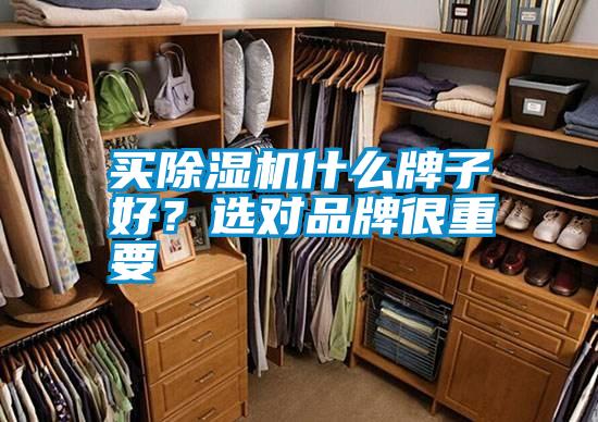 买麻豆视频黄网站什么牌子好？选对品牌很重要