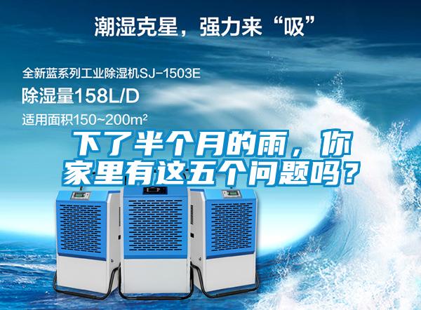 下了半个月的雨，你家里有这五个问题吗？