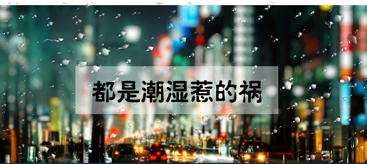 防潮麻豆视频黄网站