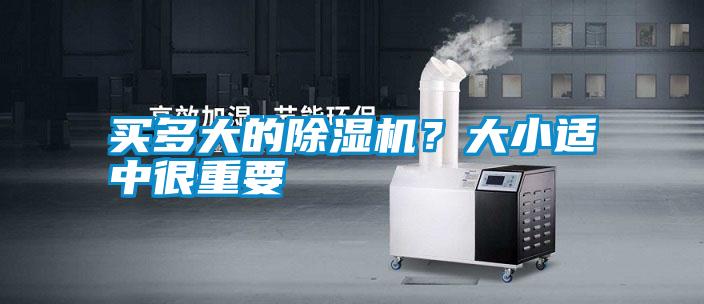 买多大的麻豆视频黄网站？大小适中很重要